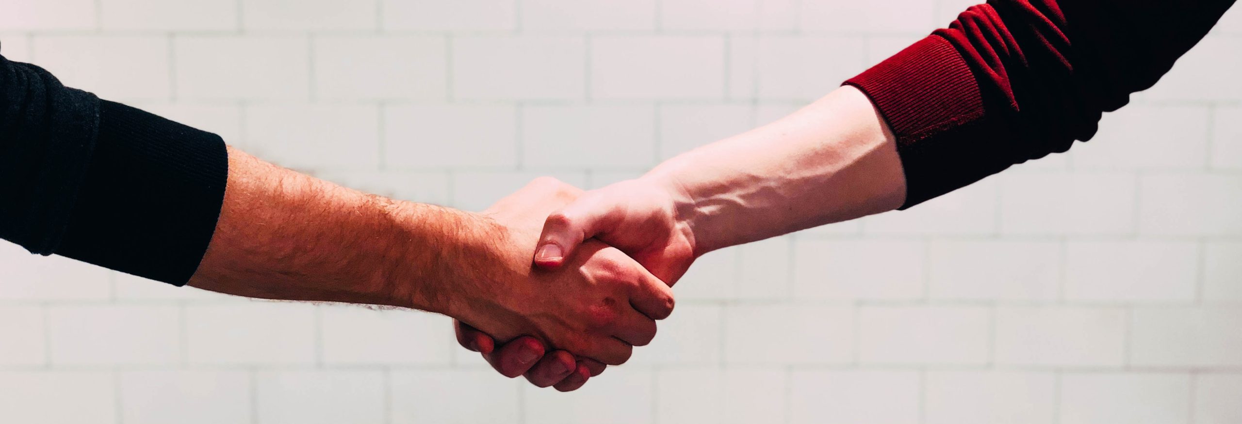 partner
